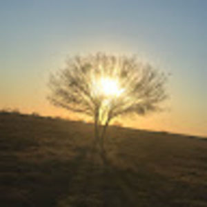 Meet your Posher, Leeann